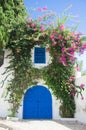 Beautiful gate of Sidi Bou Said