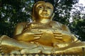 Beautiful Gautama Buddha