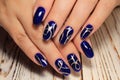 beautiful gel lacquer manicure Royalty Free Stock Photo