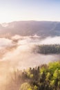 Beautiful gentle mist rises cotton tufts on the backgroun Royalty Free Stock Photo