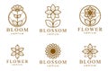 Beautiful geometric flower logos vector linear designs set, sacred geometry line drawing emblems or symbols collection, blossoming Royalty Free Stock Photo