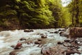 Beautiful Georgian landscape in summer,River in forest.