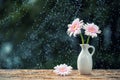 Beautiful Gerbera daisy flowers in vase on wooden table outdoors under the rain with droplets, vintage filter Royalty Free Stock Photo