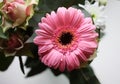 Beautiful gerbera flower decoration Royalty Free Stock Photo