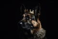 Beautiful German Shepherd Dog In Gold Crown On Matte Black Background. Generative AI