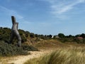 Beautiful giant wooden statue of Christophorus at the Belgian coast in the dunes on a sunny day Royalty Free Stock Photo