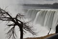 Beautiful gigantic frozen Horseshoe Niagara Waterfalls with a big tree on a frozen spring day in Niagara Falls in Ontario, Canada Royalty Free Stock Photo