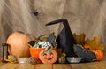 Beautiful gingerbread for Halloween and fresh pumpkin close-up on the table Royalty Free Stock Photo