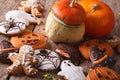 Beautiful gingerbread for Halloween and pumpkin close-up. horizo Royalty Free Stock Photo