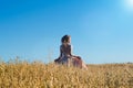 Charming girl in beautiful beige dress in field rye Royalty Free Stock Photo