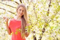 Beautiful girl in blooming tree in spring Royalty Free Stock Photo