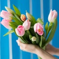 Beautiful girl in the blue dress with flowers tulips in hands on a light background Royalty Free Stock Photo