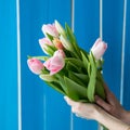 Beautiful girl in the blue dress with flowers tulips in hands on a light background Royalty Free Stock Photo