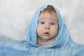 Beautiful girl in a blue scarf Royalty Free Stock Photo