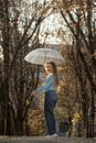 Beautiful girl in blue sweater with transparent umbrella on autumn alley. Young woman in autumn park Royalty Free Stock Photo