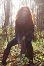 Beautiful girl in boots and jacket sitting on tree stump Royalty Free Stock Photo