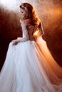 Beautiful girl bride in luxurious wedding dress, portrait in Golden tones, effects of glare