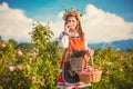 Beautiful girl bulgarian woman in ethnic folklore dress enjoying aromatic roses and picking perfumery oil-bearing rose (