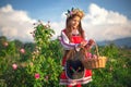 Beautiful girl, bulgarian woman in ethnic folklore dress picking perfumery oil-bearing rose damascena Bulgaria