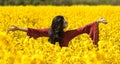 Beautiful girl in canola field