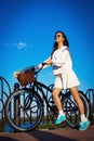 Beautiful girl with cruiser bicycle and flowers in basket Royalty Free Stock Photo