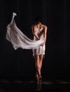 Beautiful girl dancing. ballerina Royalty Free Stock Photo