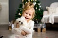 Beautiful girl with dog sitting near the Christmas tree. Merry Christmas and Happy Holidays. Royalty Free Stock Photo