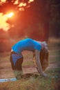 Beautiful girl doing yoga outdoors On green grass Royalty Free Stock Photo