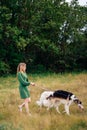 Beautiful girl in a dress on nature with Russian greyhound dogs 1