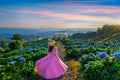 Beautiful girl enjoying blooming blue hydrangeas flowers in garden, Chiang Rai, Thailand