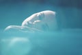 Beautiful Girl Face Portrait. Woman Floating In Pool And Enjoying Recreation At SPA. Royalty Free Stock Photo