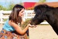 Beautiful girl feeding the straw pony on the farm. Royalty Free Stock Photo