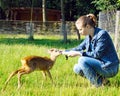 Beautiful girl feeds young deer