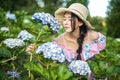 Beautiful girl with a field of hydrangea flowers