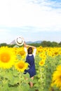 Beautiful girl in field of sunflowers, Royalty Free Stock Photo