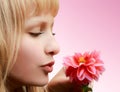 Beautiful girl with flower on pink background Royalty Free Stock Photo