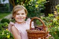 Beautiful girl in the garden. Happy girl with cherries. Preschol child with basket full of ripe berries and fun cherry Royalty Free Stock Photo