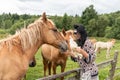 A beautiful girl in glasses and with a bandana on her head feeds the horses in the meadow. Blurred background