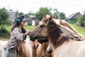 A beautiful girl in glasses and with a bandana on her head strokes the horses in the meadow. Blurred background