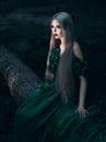 Beautiful girl in green long dress sitting on felled tree Royalty Free Stock Photo