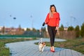 Beautiful girl with her friend Jack Russell dog walking in the park Royalty Free Stock Photo