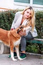 Beautiful girl with his Shetland sheepdog dog sitting and posing in front of camera on wooden bench at city park. Royalty Free Stock Photo