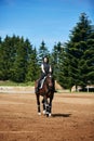 Beautiful girl with horse Royalty Free Stock Photo