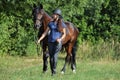 Beautiful girl leading her saddle horse in meadow Royalty Free Stock Photo