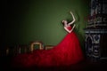 Beautiful girl in long red dress and in royal crown Royalty Free Stock Photo