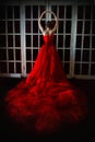 Beautiful girl in long red dress and in royal crown Royalty Free Stock Photo