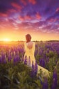 A girl in a long yellow dress against the background of a blooming purple lupine field and a sunset sky. Royalty Free Stock Photo