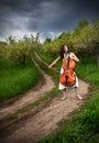 Beautiful girl playing the cello Royalty Free Stock Photo