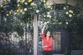 Beautiful girl posing on a street