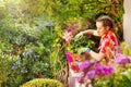 Beautiful girl pruning potted flowers on balcony